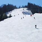 Alpengasthof Goetschenalm בית הארחה