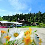 בית הארחה Alpengasthof Goetschenalm
