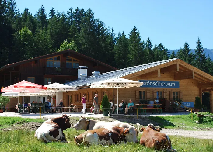 Alpengasthof Götschenalm Gasthof