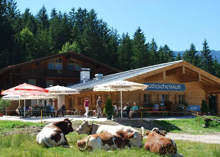 Gasthof Alpengasthof Götschenalm