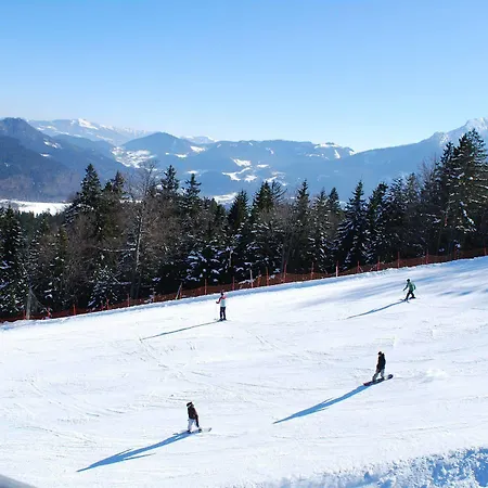 Alpengasthof Goetschenalm Guest house 3*